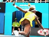ass pics photos venus williams ass tennis clubs